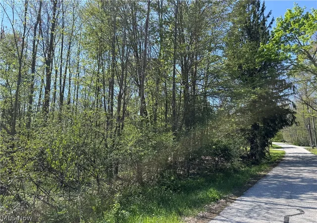 5th image of Chestnutdale Rd, Chardon, OH 44024 | MLS# 5207748