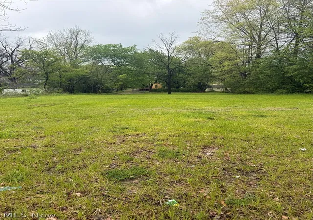 Homes for sale in Ravenna, OH | 463 S Chestnut St, Ravenna, OH 44266 | MLS# 5208654