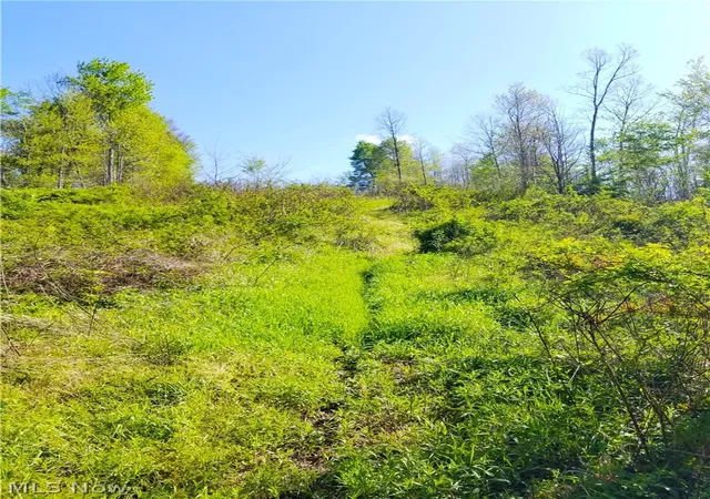 42nd image of Patton Rd, Jewett, OH 43986 | MLS# 5208726