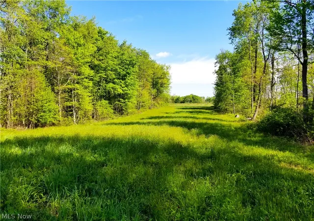 5th image of Patton Rd, Jewett, OH 43986 | MLS# 5208726
