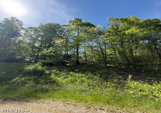 Homes for sale in Newcomerstown, OH | Scott Dr, Newcomerstown, OH 43832 | MLS# 5208779