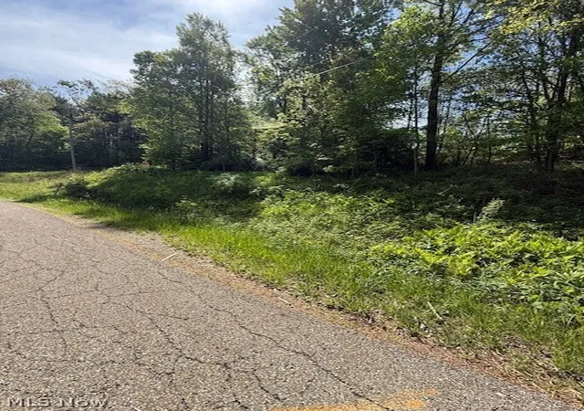 Homes for sale in Newcomerstown, OH | Scott Dr, Newcomerstown, OH 43832 | MLS# 5208779