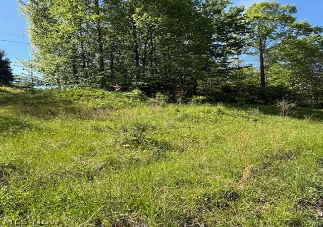 Homes for sale in Newcomerstown, OH | Scott Dr, Newcomerstown, OH 43832 | MLS# 5208779
