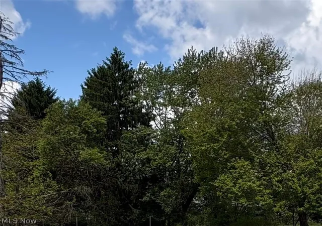 1st image of Belgrade, Girard, OH 44420 | MLS# 5209085
