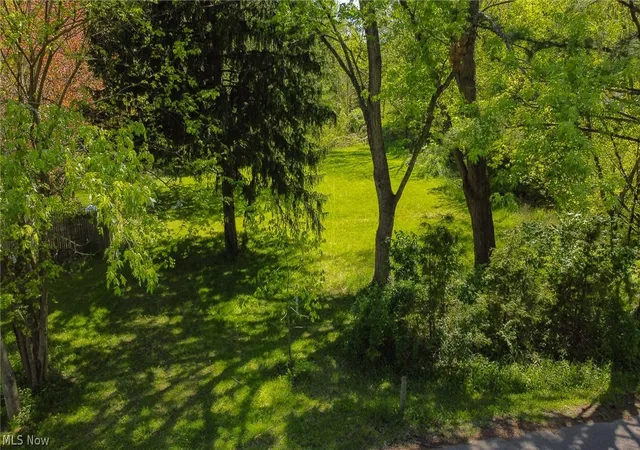 3rd image of 1312 Morse V/L St, Akron, OH 44320 | MLS# 5209195