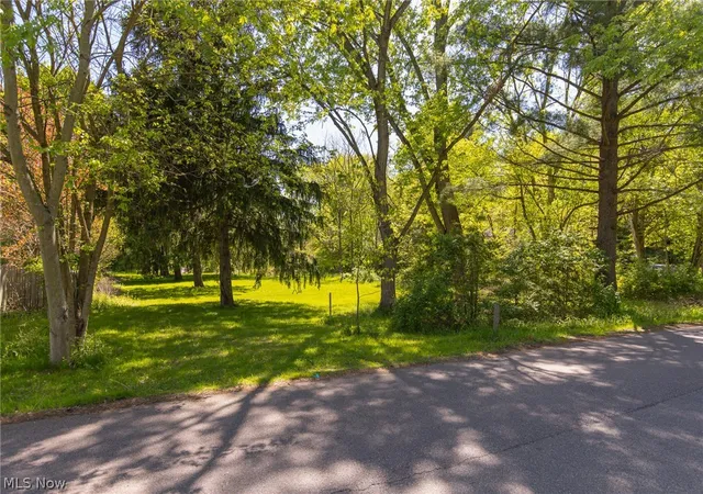 4th image of 1312 Morse V/L St, Akron, OH 44320 | MLS# 5209195