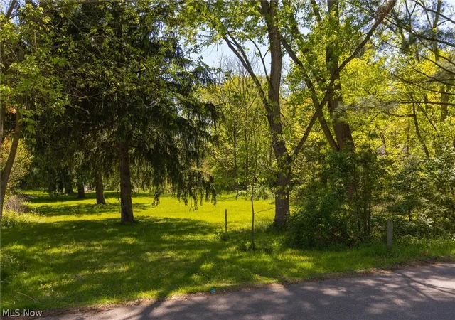 5th image of 1312 Morse V/L St, Akron, OH 44320 | MLS# 5209195