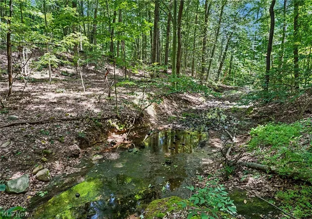 9th image of 1123 N Hametown Rd, Akron, OH 44333 | MLS# 5209375