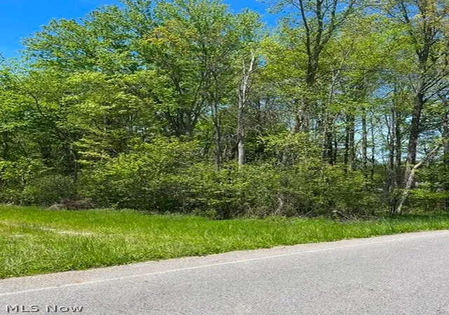3rd image of 8086 S Raccoon Rd, Canfield, OH 44406 | MLS# 5209446