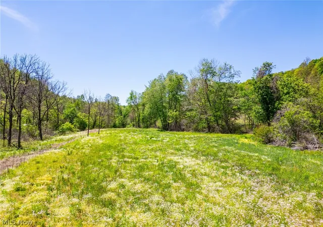 Homes for sale in Dexter City, OH | 37500 Goose Run Road, Dexter City, OH 45727 | MLS# 5207226