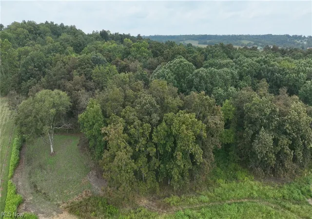 11th image of 0 Lambert Rd, Roseville, OH 43777 | MLS# 5209749