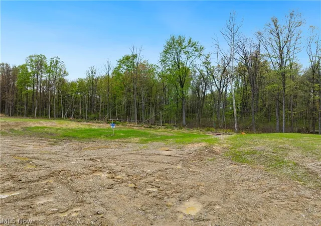 Homes for sale in Brecksville, OH | 9533 River Birch Run, Brecksville, OH 44141 | MLS# 5207730