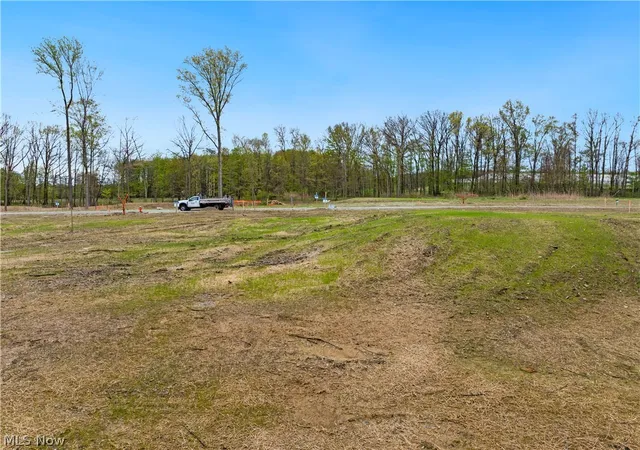 Homes for sale in Brecksville, OH | 9523 River Birch Run, Brecksville, OH 44141 | MLS# 5207639
