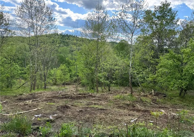 1st image of 208 Easy St, Freeport, OH 43973 | MLS# 5210503