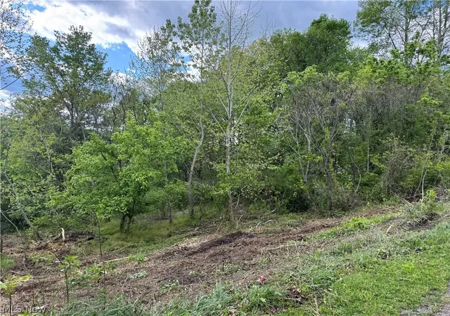 2nd image of 208 Easy St, Freeport, OH 43973 | MLS# 5210503