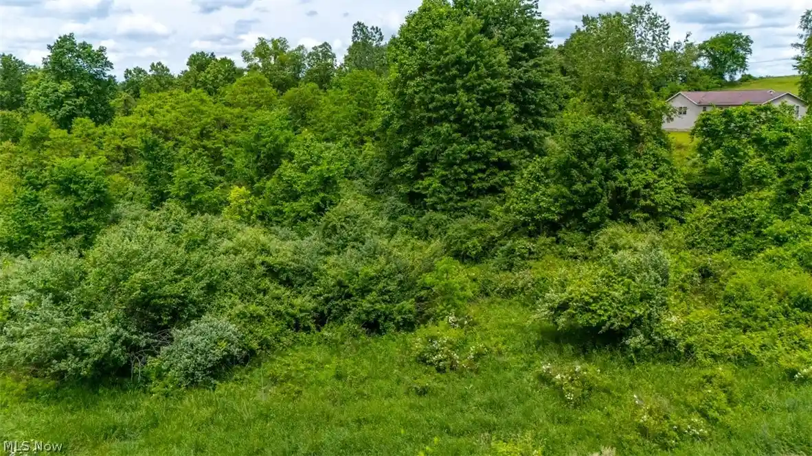 Photo 1 of Land for sale at 0 Jenny Lynn Dr, Belmont, OH 43718 | MLS# 5210190 | Listing updated on 2026-10-20