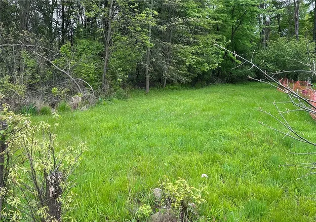 1st image of Ridley Ave, Youngstown, OH 44505 | MLS# 5210638