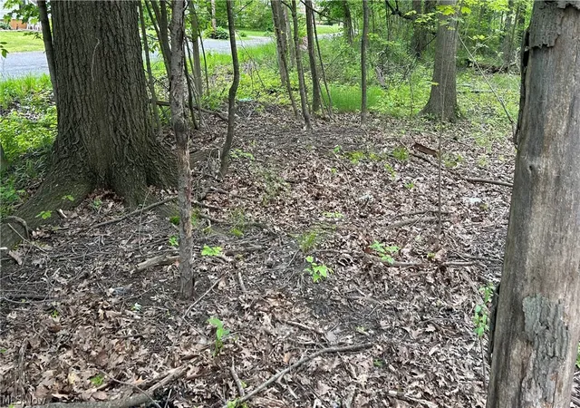 2nd image of Ridley Ave, Youngstown, OH 44505 | MLS# 5210638