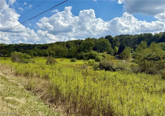 Homes for sale in Carrollton, OH | Aster Rd, Carrollton, OH 44615 | MLS# 5210697