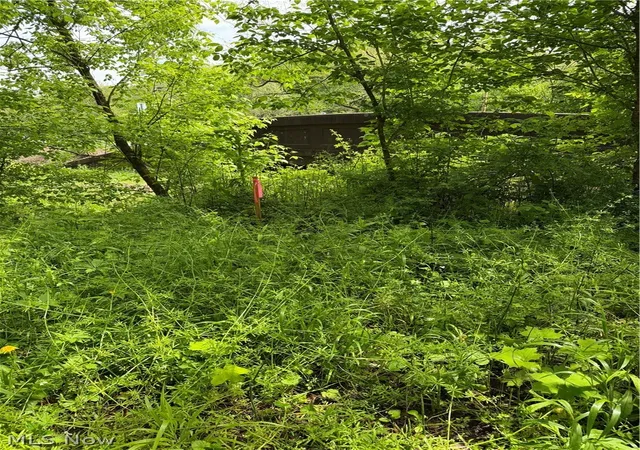 2nd image of Harrietsville Sr 145 Rd, Lower Salem, OH 45745 | MLS# 5209582