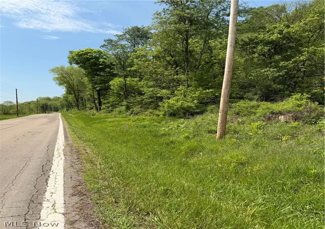 Homes for sale in Lower Salem, OH | Harrietsville Sr 145 Rd, Lower Salem, OH 45745 | MLS# 5209582