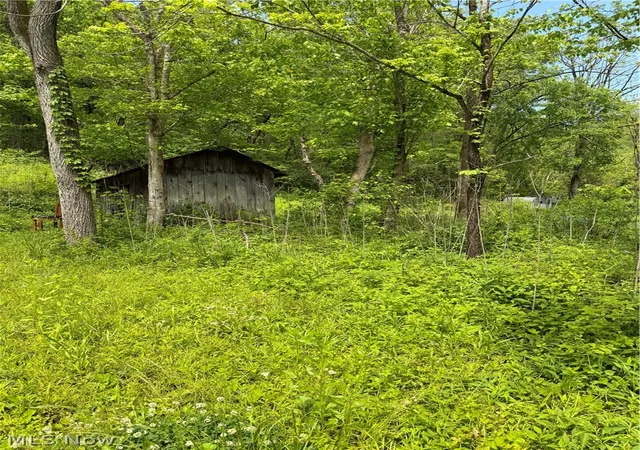 9th image of Harrietsville Sr 145 Rd, Lower Salem, OH 45745 | MLS# 5209582