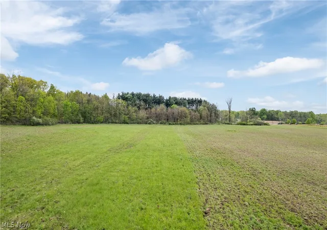3rd image of Chatham Rd, Spencer, OH 44275 | MLS# 5211074