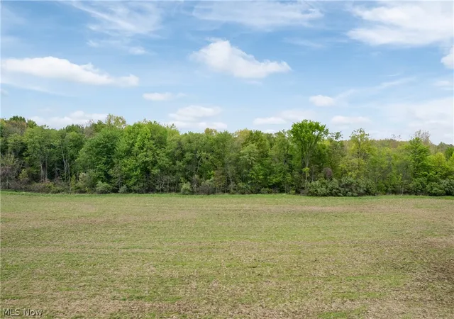 4th image of Chatham Rd, Spencer, OH 44275 | MLS# 5211074