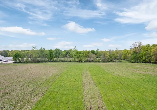 5th image of Chatham Rd, Spencer, OH 44275 | MLS# 5211074