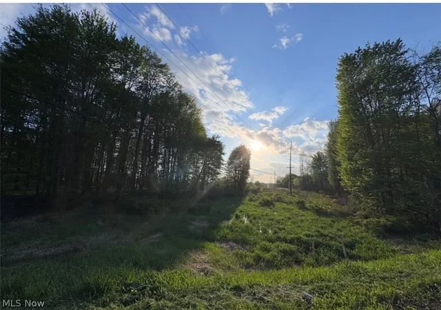 Homes for sale in Garrettsville, OH | V L Parkman Rd, Garrettsville, OH 44231 | MLS# 5209684