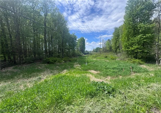 Homes for sale in Garrettsville, OH | V-L Parkman Rd, Garrettsville, OH 44231 | MLS# 5209684