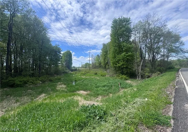 Homes for sale in Garrettsville, OH | V-L Parkman Rd, Garrettsville, OH 44231 | MLS# 5209684