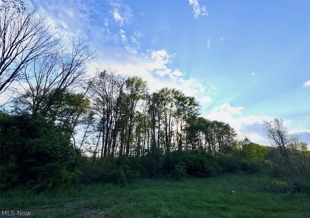 Homes for sale in Garrettsville, OH | V L Parkman Rd, Garrettsville, OH 44231 | MLS# 5209684