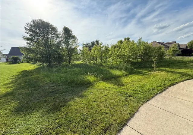 3rd image of 40 Woodland Run, Canfield, OH 44406 | MLS# 5210718
