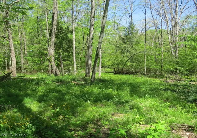 3rd image of Montero Rd Ne, Carrollton, OH 44615 | MLS# 5210082