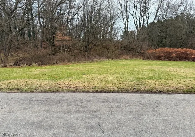 Homes for sale in East Palestine, OH | 873 W Main St, East Palestine, OH 44413 | MLS# 5211004