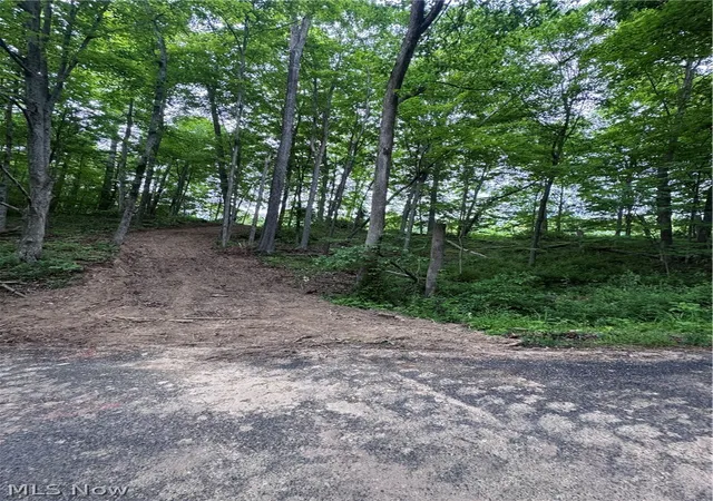 Homes for sale in Stockport, OH | Walker Hill Rd #10.11, Stockport, OH 43787 | MLS# 5206423