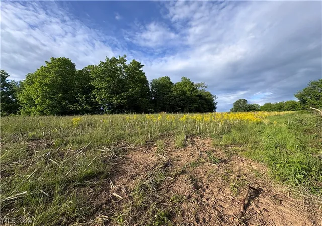 Homes for sale in Stockport, OH | Walker Hill Rd #11.03, Stockport, OH 43787 | MLS# 5206434