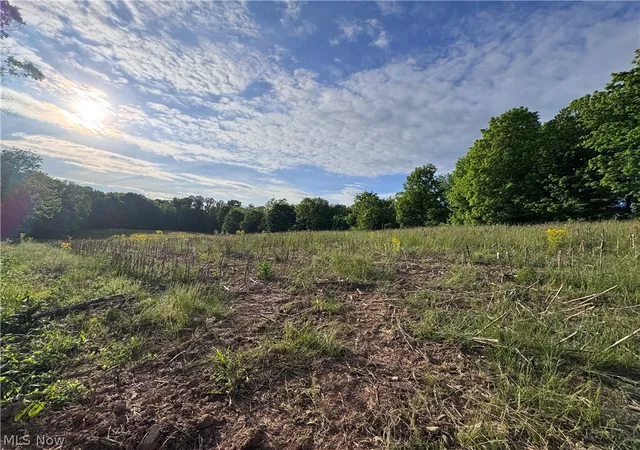Homes for sale in Stockport, OH | Walker Hill Rd #11.03, Stockport, OH 43787 | MLS# 5206434