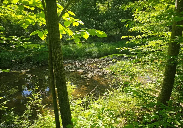 50th image of 14816 Rock Creek Rd, Chardon, OH 44024 | MLS# 5211554