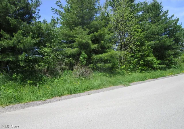 3rd image of Vl Doyle Rd, Jefferson, OH 44047 | MLS# 5211920