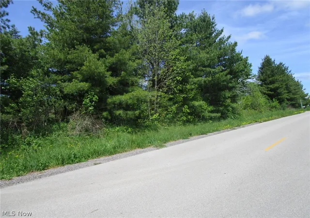 4th image of Vl Doyle Rd, Jefferson, OH 44047 | MLS# 5211920
