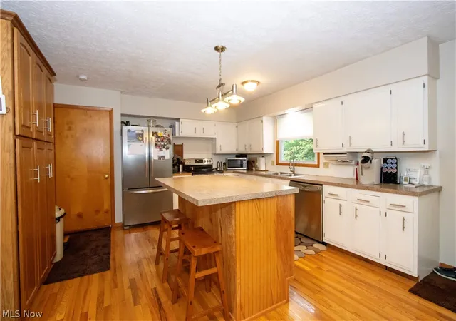 Homes for sale in Loudonville, OH | 107 Youngs Ter, Loudonville, OH 44842 | MLS# 5211562