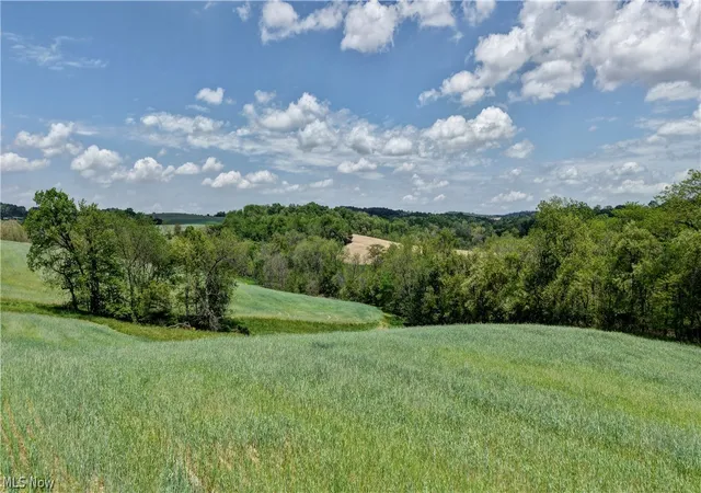 4th image of Renner Rd, Fresno, OH 43824 | MLS# 5212485