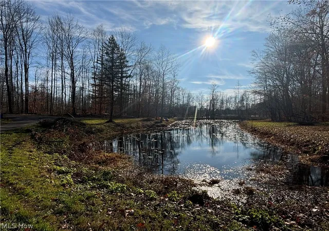 16th image of 10775 Bell Rd, Newbury, OH 44065 | MLS# 5212482