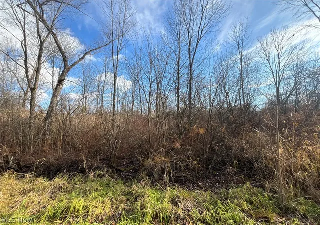 2nd image of 10775 Bell Rd, Newbury, OH 44065 | MLS# 5212482