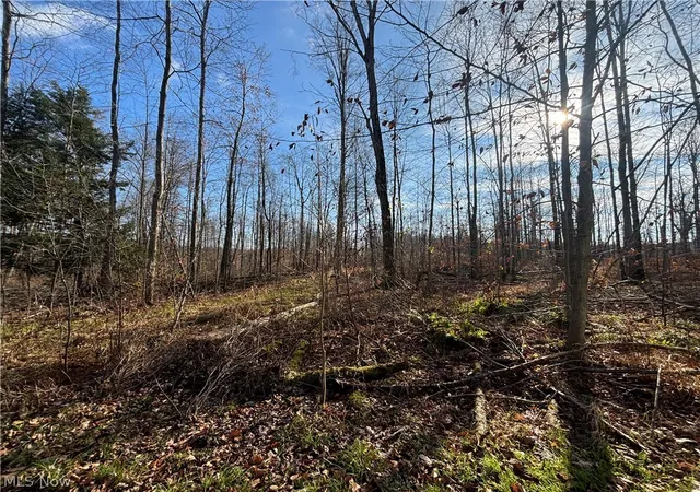 5th image of 10775 Bell Rd, Newbury, OH 44065 | MLS# 5212482