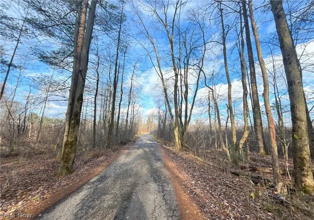 4th image of 10785 Bell Rd, Newbury, OH 44065 | MLS# 5212484