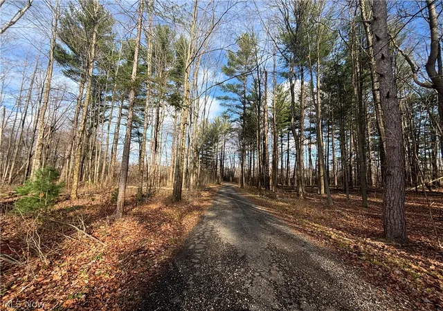 5th image of 10785 Bell Rd, Newbury, OH 44065 | MLS# 5212484