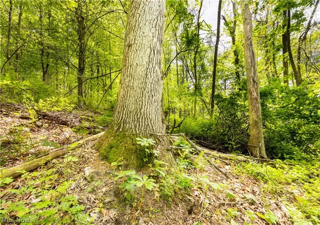 Homes for sale in Newcomerstown, OH | 26103 Township Road 250, Newcomerstown, OH 43832 | MLS# 5212758
